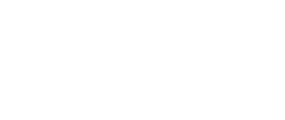 BridgeBee Global
